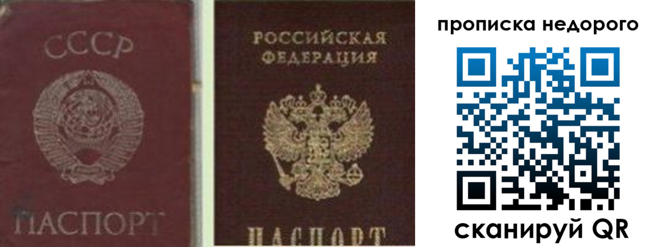 временная регистрация поиск в Видном